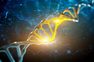 Wir sind nicht die Gefangenen unserer Gene!
